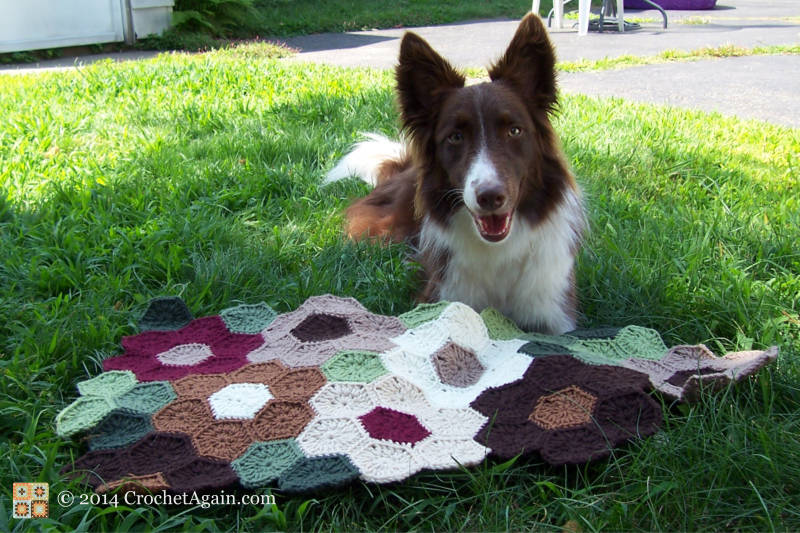 I have no idea how dog hair gets into my crochet!